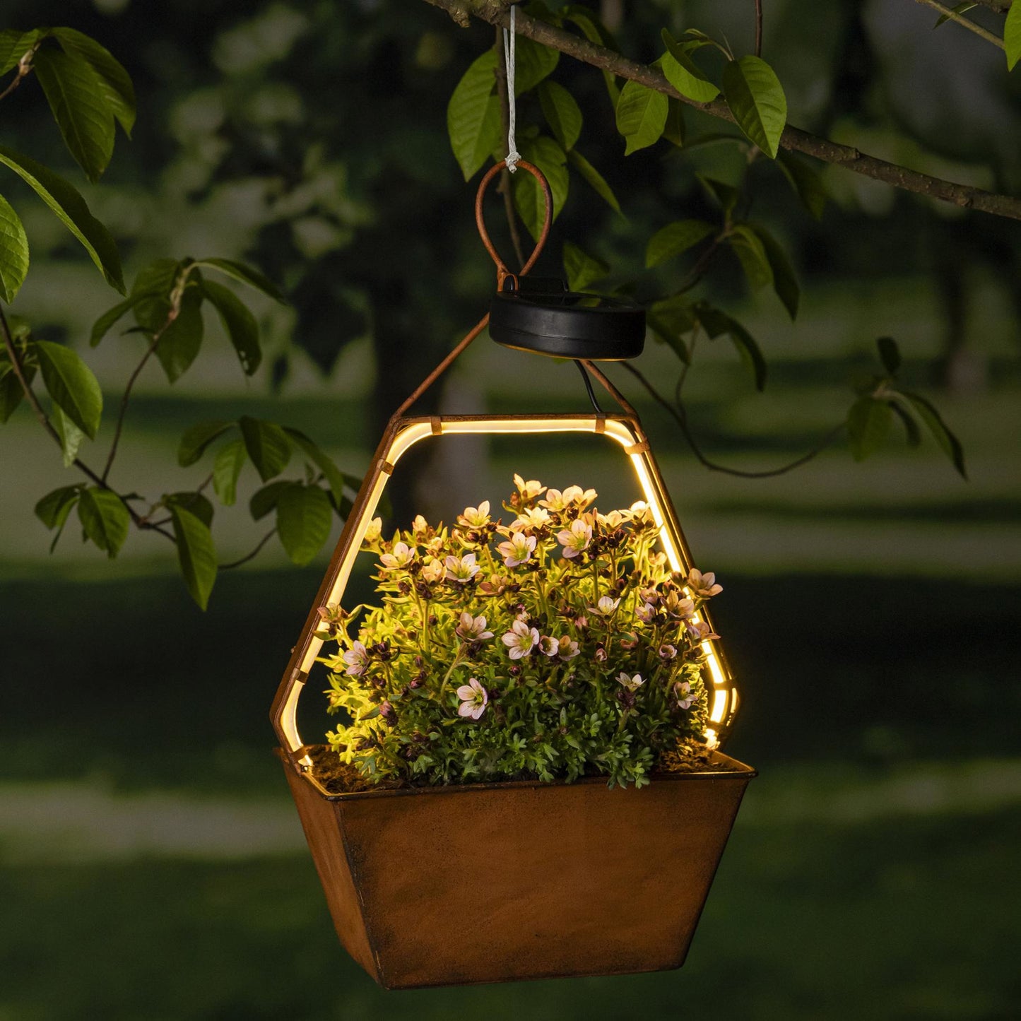 Solar Hängeleuchte mit LED-Lichterschlauch