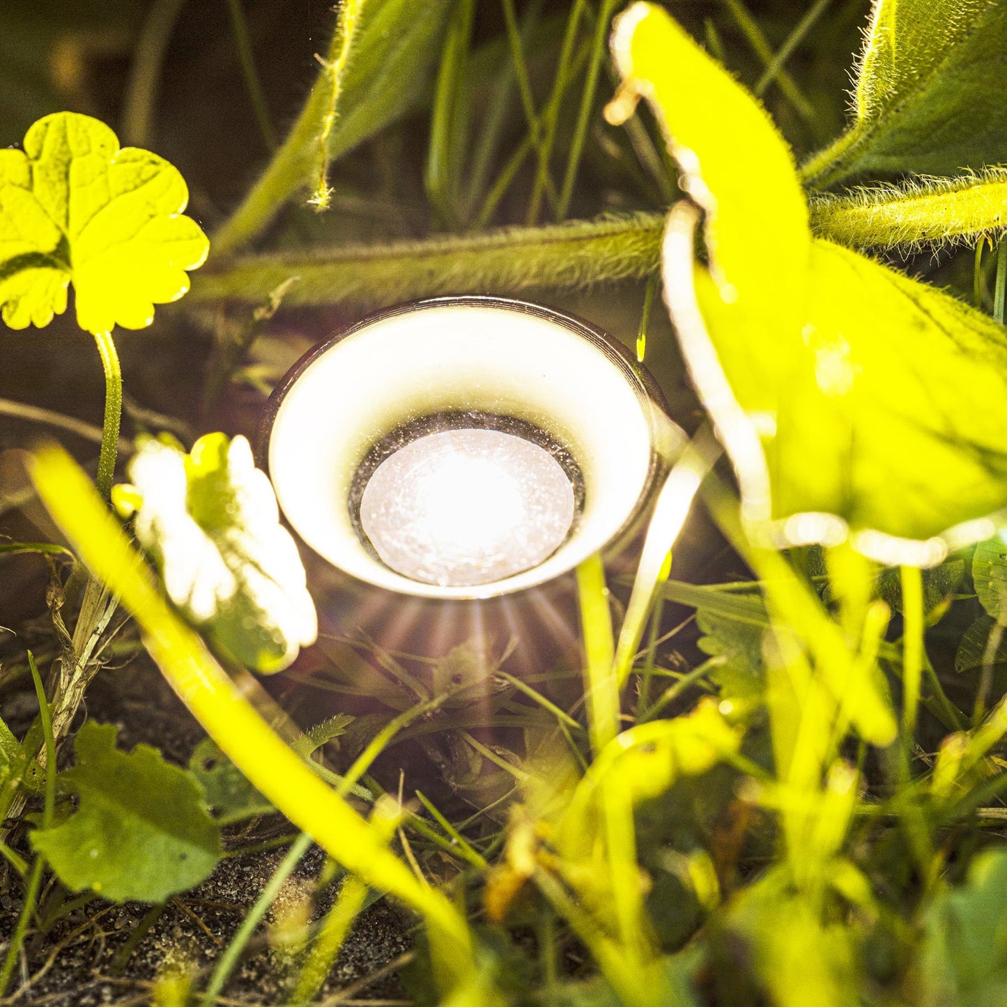 LED Solar Pflanzenstrahler mit 10 Strahler