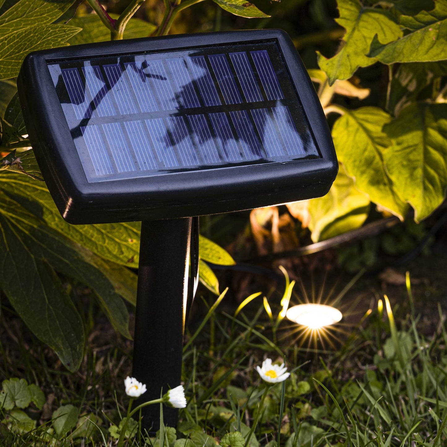 LED Solar Pflanzenstrahler mit 10 Strahler